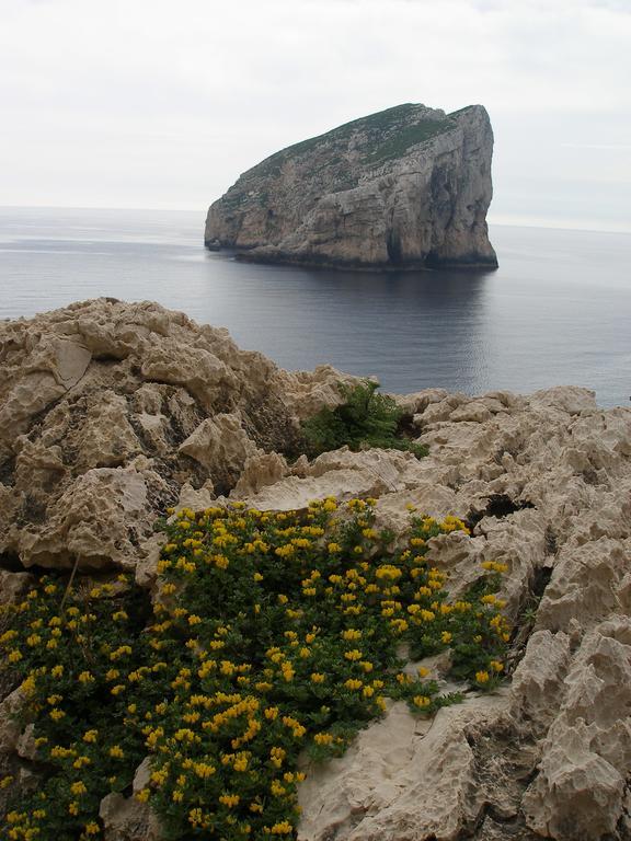 Giramondo Sardegna Affittacamere Alguer Exterior foto